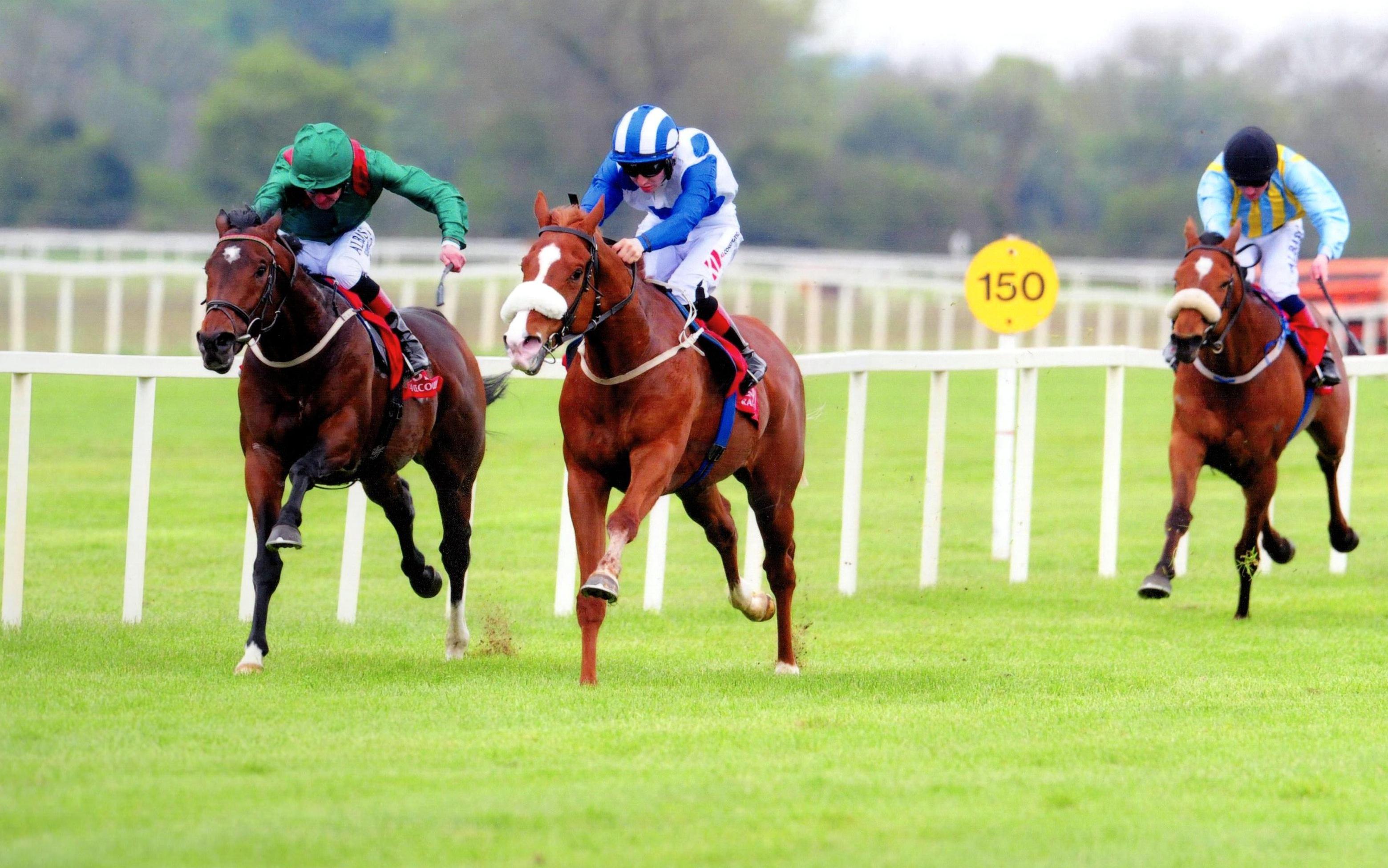 SANDSTORMING winning at Cork 6th May 2017